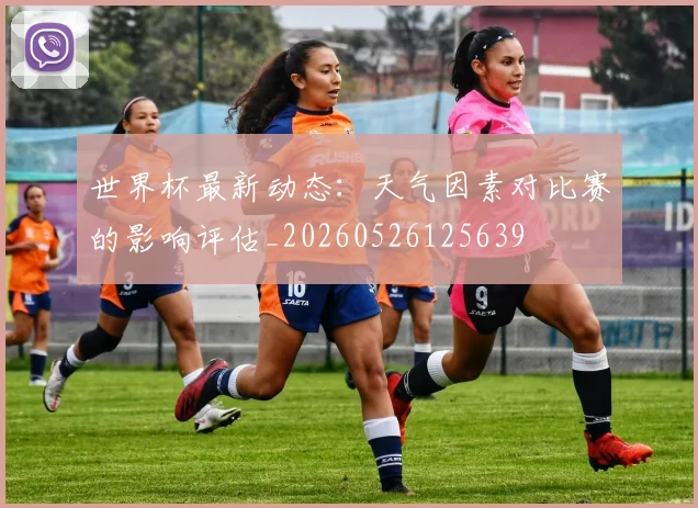 世界杯最新动态：天气因素对比赛的影响评估_20260526125639