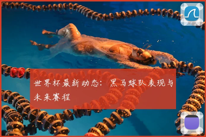 世界杯最新动态：黑马球队表现与未来赛程
