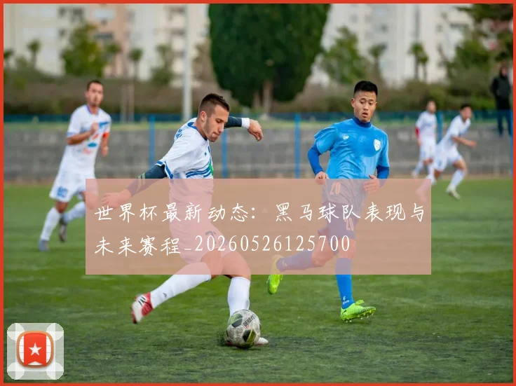 世界杯最新动态：黑马球队表现与未来赛程_20260526125700